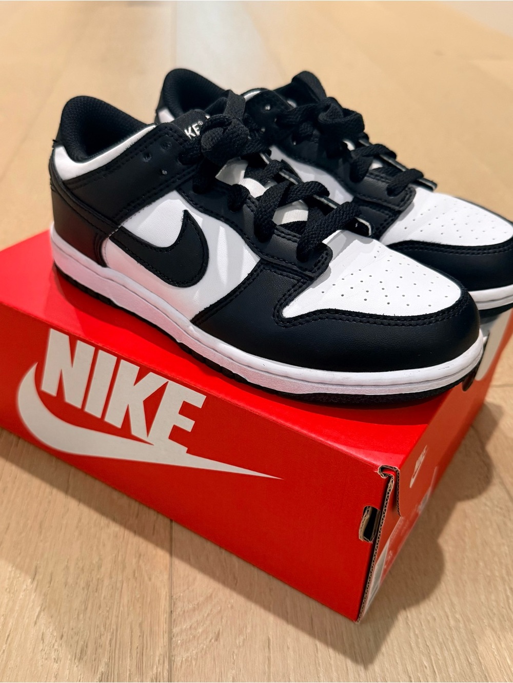 Nike Kids Dunk Low Sneakers 3Y